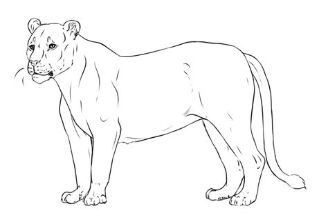 cartoon female lion coloring page coloring pages