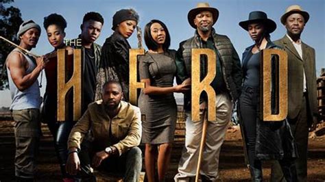 herd  full episode south africa information south africa