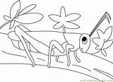 Grasshopper Coloring Pages Kids Preschool Colouring Printable Walking Kindergarten Preschoolcrafts Color Insects sketch template