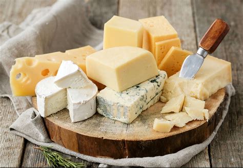 quais tipos de queijos existem direto  forno dicas  mundo gastronomico