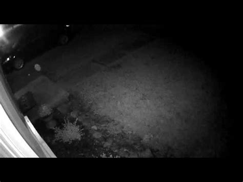 ferndale police search for peeping tom who is plaguing one neighborhood