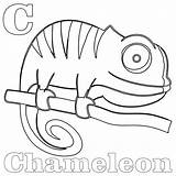 Chameleon Kameleon Kolorowanki Kids Outline Coloring4free Bestcoloringpagesforkids Cameleon Gerbil Dzieci Camaleonte Entitlementtrap Colorare Wydruku Chameleons sketch template