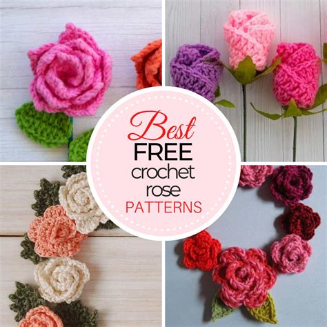 crochet rose patterns beginner  advanced treasurie