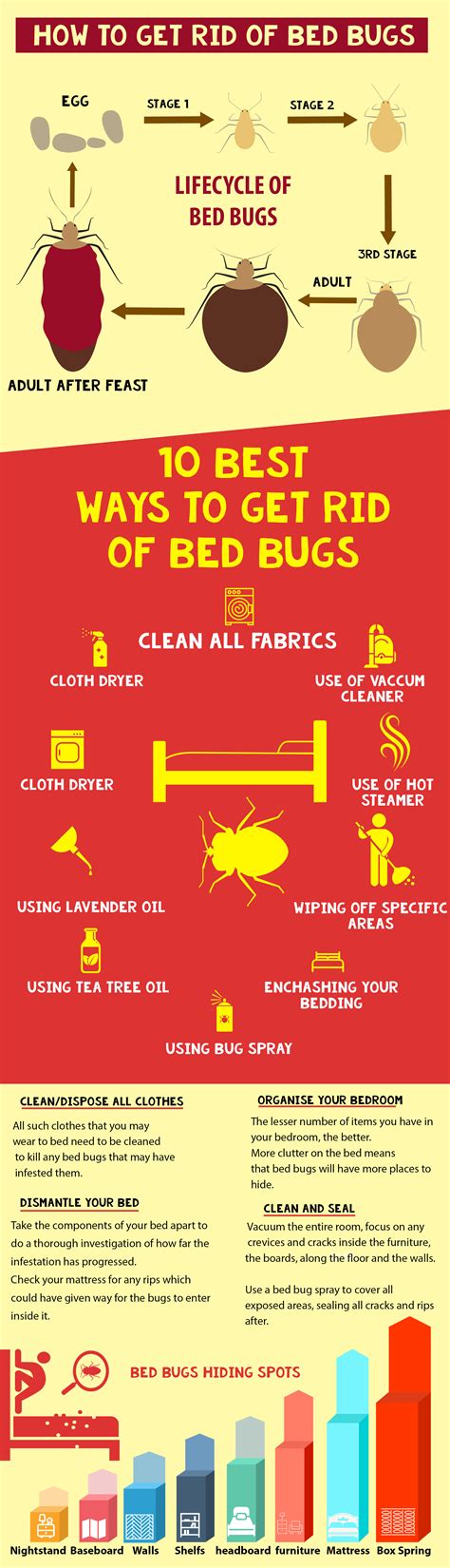 tips     rid  bed bugs rinfographics