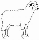 Sheep Outline Drawing Template Paintingvalley Drawings sketch template