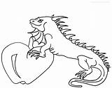 Iguana Coloring Pages Printable Kids Cool2bkids Results sketch template