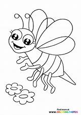 Coloring Bees sketch template