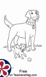 Farm Coloring Animals Pages Babies Their Teachersmag sketch template
