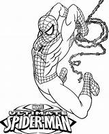 Coloring Spiderman Spider Man Ultimate Pages Print Books Topcoloringpages Color Amazing Marvel Superhero sketch template