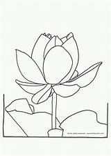 Coloring Lotus Flower Pages Kids Printable Flowers Color Popular Drawing Coloringhome Getdrawings Library Clipart Comments sketch template