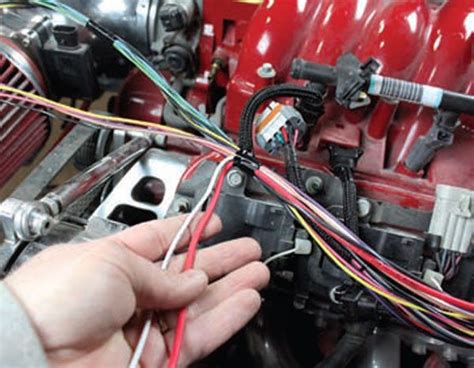 stand  wiring harness  ls swap