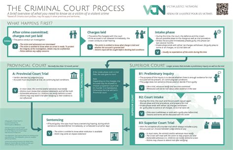 criminal court process   overview         victim   violent