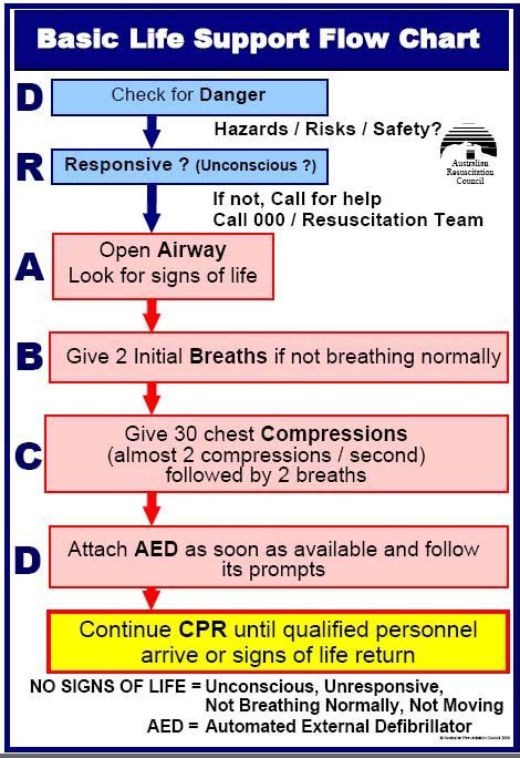 cpr adult basic life support flowchart mandis daycare ideas