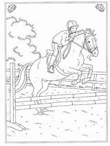 Manege Paarden Paard Ausmalen Pferde Dieren Ausmalbilder Eerst Altijd Leukste Vind Erwachsene Volwassenen Tekeningen Malvorlagen Bord sketch template
