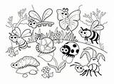 Coccinelle Maternelle Insectos Printemps Insectes Insecte Colorear Petites Insect Betes Carnivore Incroyable Plante Ohbq Modèles Enregistrée Insects Azcoloriage Papillon Bricolage sketch template