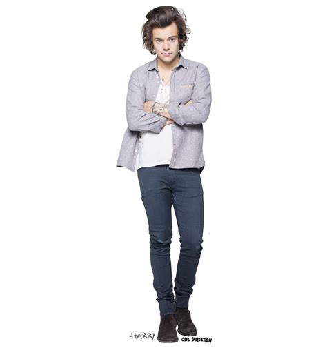 advanced graphics  direction harry life size cardboard cutout