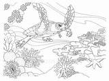 Coloring Pages Reef Coral Barrier Great Turtle Drawing Ocean Sea Printable Google Coloriage Realistic Color Search Kids Hawaiian Dessin Drawings sketch template