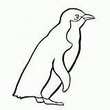 Penguin Penguins Kunjungi sketch template
