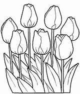 Tulipanes Colorare Coloriage Bloemen Tulipani Lalele Tulipes Pintar Colorat Topkleurplaat Planse Bloem1 Creciendo Plansa Tigrisor Flori Fleurs Mandala Kleuren Tekening sketch template