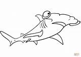 Shark Hammerhead Requin Martello Pesce Squalo Nelloceano Arouisse Primanyc sketch template