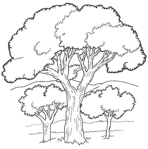 oak tree   forest coloring page color luna forest coloring