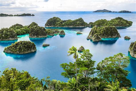top  reasons  visit raja ampat papua paradise