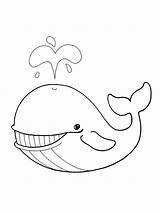 Whales sketch template