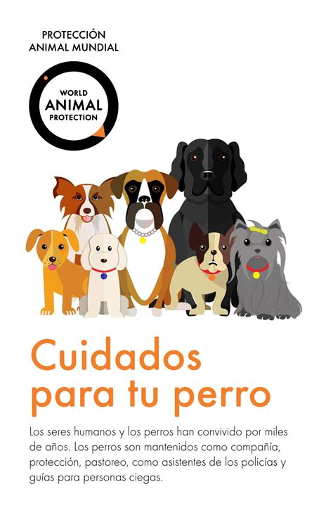 cuidados  tu perro  world animal protection issuu