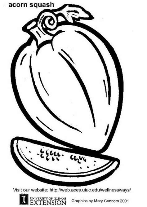 squash coloring pages coloring home