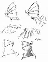 Wings Dragon Drawing Sketch Wing Drawings Hut Nipa Paintingvalley Sketches Studies sketch template