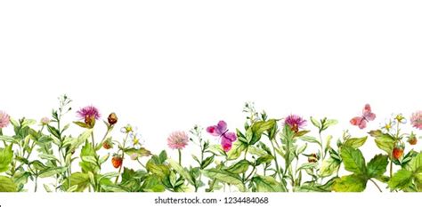 flower border watercolour images stock  vectors