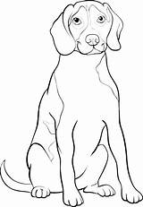 Beagle Coloring Pages Dog Perro Getcolorings Drawings Printable Color 91kb 1300px sketch template