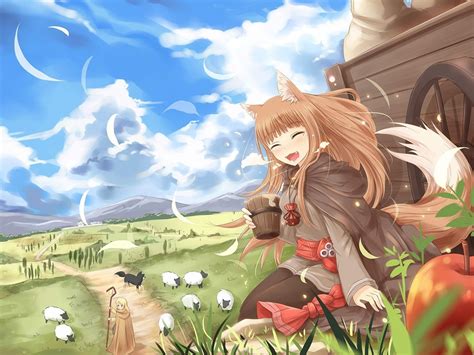 holo  wise wolf wallpapers wallpaper cave