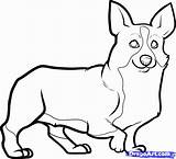 Corgi Drawing Line Drawings Draw Coloring Pages Dogs Step Dog Clipart Pets Animals Cliparts Print Popular Colouring Animal Dawn Paintingvalley sketch template