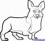Corgi Drawing Line Coloring Pages Drawings Draw Outline Puppy Dogs Dog Clipart Step Cliparts Animal Comments Colouring Pets Animals Dawn sketch template