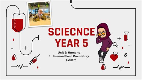 science year  humans main parts functions youtube