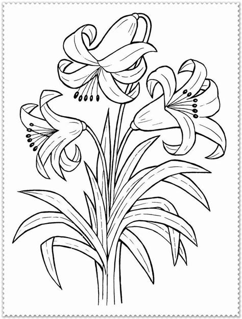 spring flowers coloring page awesome printable spring flower coloring