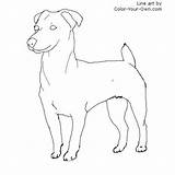 Terrier Russel Fawn Designlooter Uitprinten Downloaden sketch template