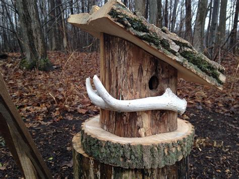 hollow log birdhouse   perch   deer antler   base  roof   ash logs