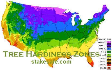 tree hardiness zones stakesafe
