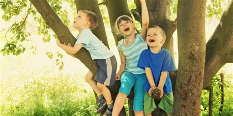 green spaces  schools improve childrens memory  attention huffpost