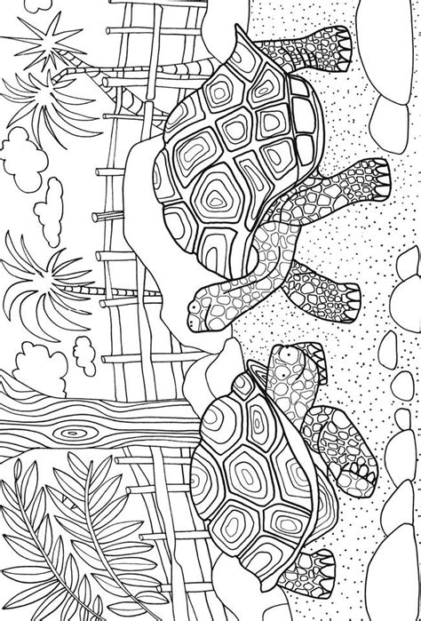 images  adult coloring pages  pinterest