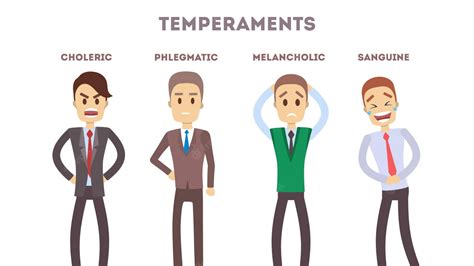 important     temperaments  employees