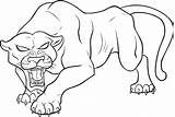 Panther Animal Line Realistic Drawing Farm Clipart Library Pic Scene sketch template