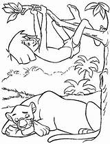 Mowgli Selva Bagheera Ausmalen Climb Dschungel Zeichnungen Baum Pintar Infantiles Cómo Designlooter Kidsplaycolor sketch template