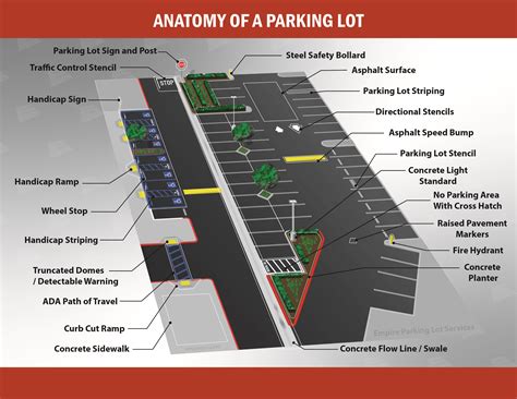 anatomy   parking lot