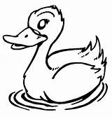 Duck Coloring Cartoon Pages Ducks Drawing Wallpaper Duckling Colour Ducklings Way Make Birds Cute Animal Swimming Ugly Getcolorings Printable Kids sketch template