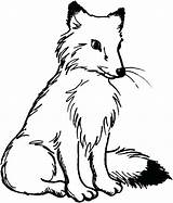 Fox Coloring Jam Animal Getdrawings Pages sketch template