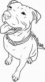 Pitbull Bull Stencils Wolfie Undead Cane Cani Pitbulls Lineart Vorlagen Silhouetten Lapiz Perro Schablonen Animali Nicepng Moziru Pitbulllife Professionelle Beijo sketch template