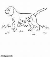 Beagle Yard Coloringpages Traceable Colouring sketch template